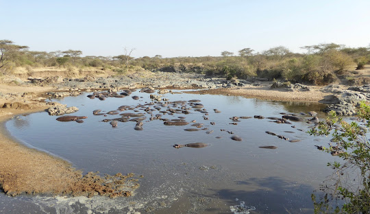 A beautiful landscape of Tanzania, highlighting the best time to visit Tanzania